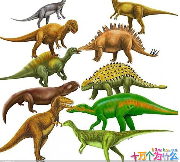 恐龙为什么会成为中生代的陆地霸主