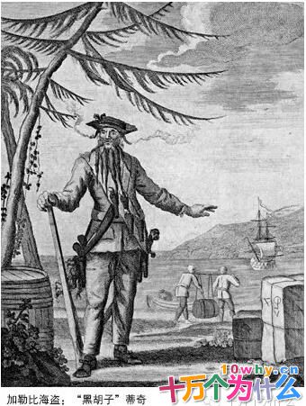 为什么加勒比的海盗名气最大