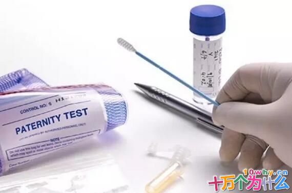 什么是亲子鉴定