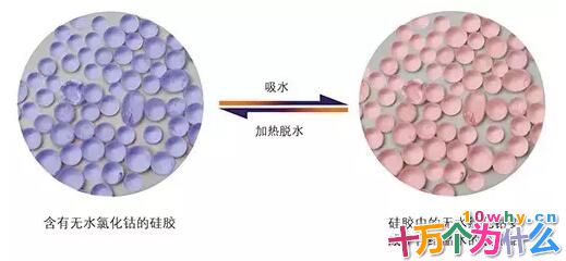 会变色的干燥剂是怎么回事