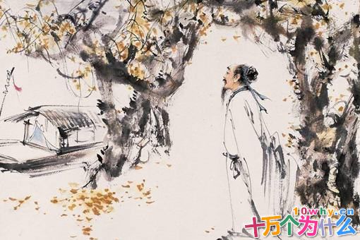 唐朝诗人为何白居易最受推崇 白居易诗魔的来历是怎样的