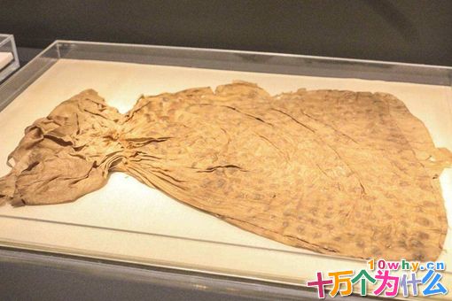 辛追真实历史 辛追夫人的真实身份