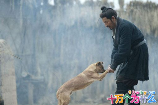 刘邦本是个小混混,他是怎么当上泗水亭长的? 刘邦本是个小混混,他是怎么当上泗水亭长的?