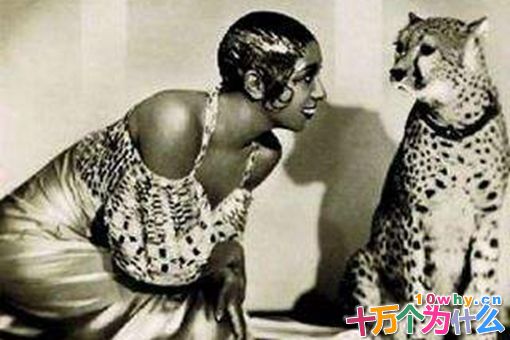 约瑟芬·贝克是一个怎样的女人?海明威口中最美的女人 约瑟芬·贝克是一个怎样的女人?海明威口中最美的女人