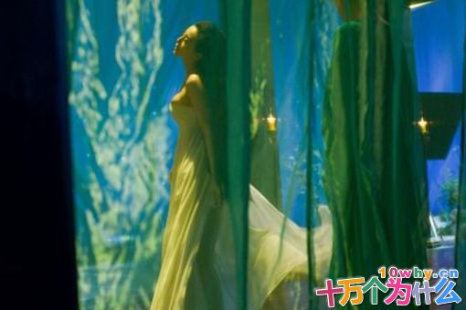 杨贵妃为什么没孩子?杨贵妃没有生育能力吗? 杨贵妃为什么没孩子?杨贵妃没有生育能力吗?