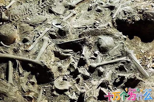 为何说赵恬被误解了几千年?历史赵括真的无能吗 为何说赵恬被误解了几千年?历史赵括真的无能吗