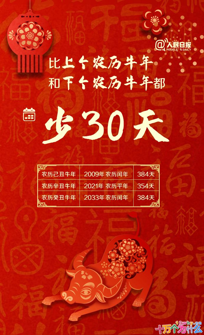牛年只有354天!关于牛年,还有哪些知识点?