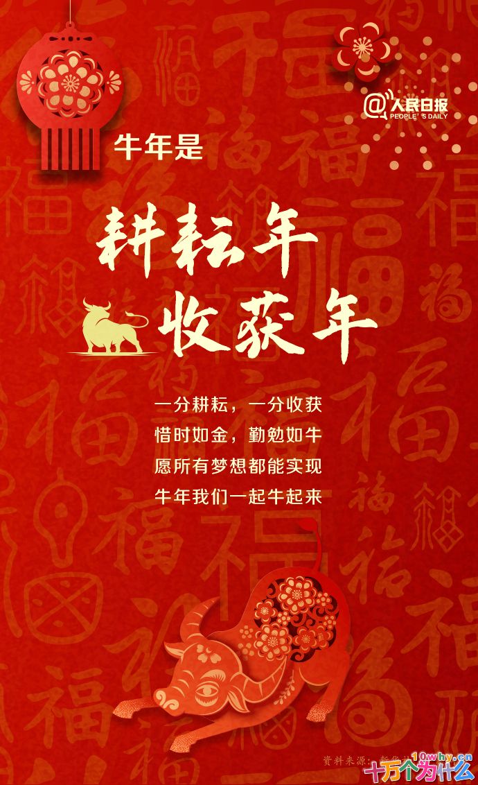 牛年只有354天!关于牛年,还有哪些知识点?