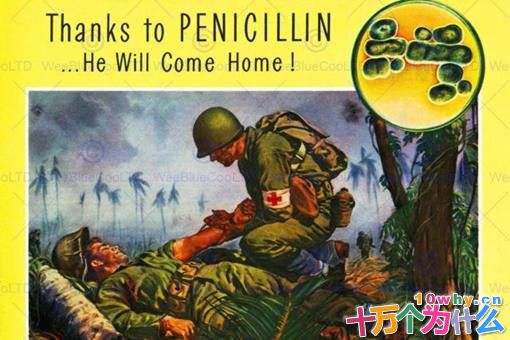 麦克阿瑟是怎么死的?麦克阿瑟是得梅毒死的吗?