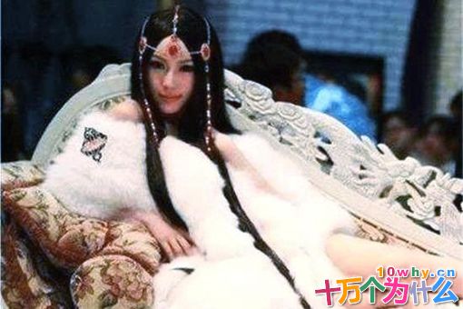 成吉思汗到底是怎么死的?成吉思汗真的是被西夏人给杀害的吗?