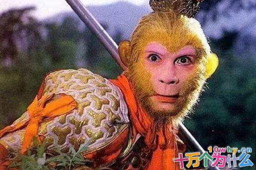 六耳猕猴到底是谁?为什么他不怕佛祖? 六耳猕猴到底是谁?为什么他不怕佛祖?