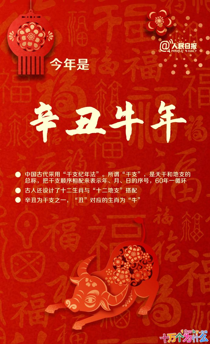 牛年只有354天!关于牛年,还有哪些知识点?