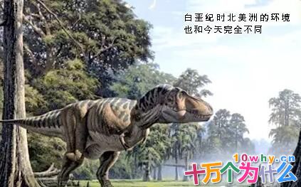 假如今天来了只霸王龙