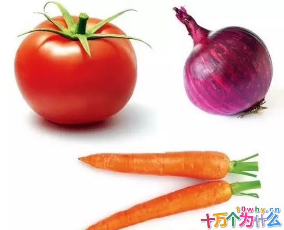 为什么胡萝卜、番茄和洋葱不是生物入侵者?