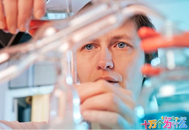 基因工程能为人类带来什么好处