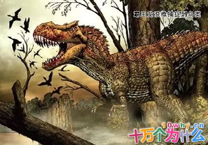 假如今天来了只霸王龙