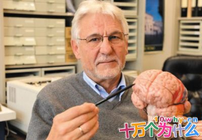 罪犯的大脑和普通人的有什么不同