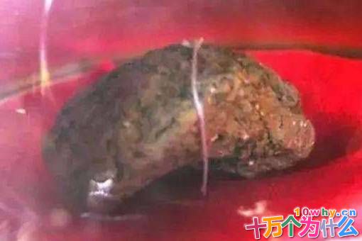 鸠摩罗什的舌头是真的吗?鸠摩罗什的舌舍利是怎么回事? 鸠摩罗什的舌头是真的吗?鸠摩罗什的舌舍利是怎么回事?