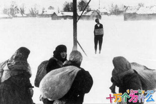 苏联女英雄卓娅是怎么死的?揭秘卓娅遇害详细过程 苏联女英雄卓娅是怎么死的?揭秘卓娅遇害详细过程