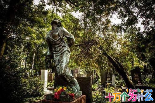 苏联女英雄卓娅是怎么死的?揭秘卓娅遇害详细过程 苏联女英雄卓娅是怎么死的?揭秘卓娅遇害详细过程