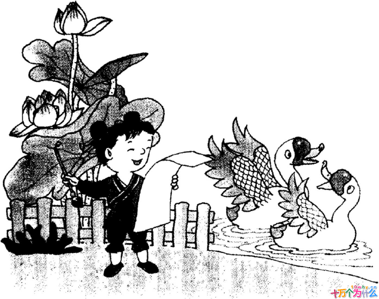 神童和普通儿童究竟有哪些差别图片2