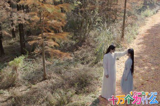 九州天空城2风如澈结局是什么?风如澈和雪景空什么关系? 九州天空城2风如澈结局是什么?风如澈和雪景空什么关系?