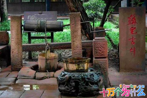 苏轼生于眉州什么地方?苏轼出生地为何争议不断? 苏轼生于眉州什么地方?苏轼出生地为何争议不断?