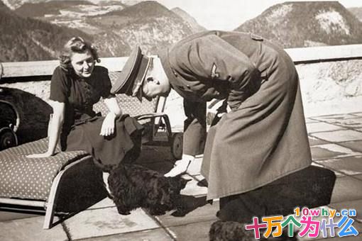 爱娃是希特勒唯一的情妇吗?爱娃是如何支持希特勒的事业的?