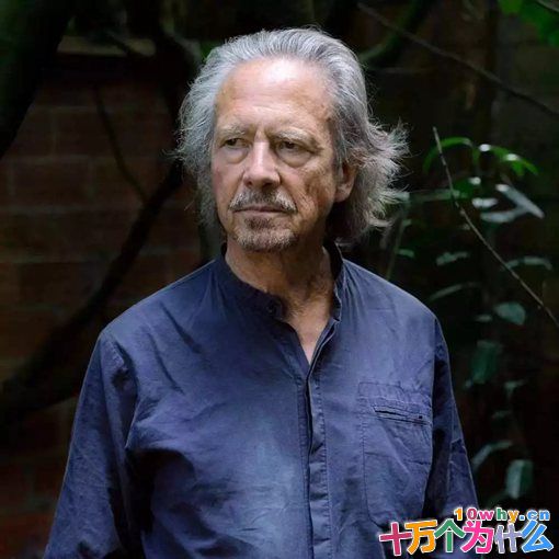 奥地利小说家彼得汉德克介绍 汉德克经典书推荐