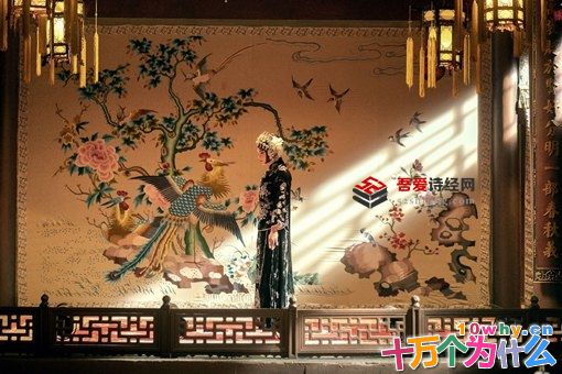 商细蕊身世是怎样的 商菊贞和姜荣寿什么关系 商细蕊身世是怎样的 商菊贞和姜荣寿什么关系