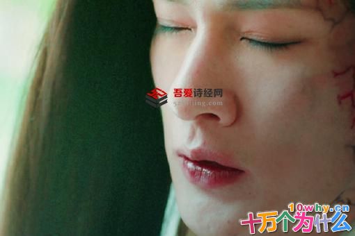 无心法师3白琉璃和无心有什么恩怨?白琉璃怎么死的? 无心法师3白琉璃和无心有什么恩怨?白琉璃怎么死的?