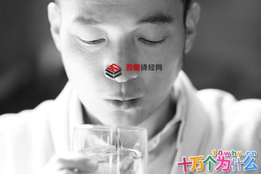 孤城闭晏殊是谁?晏殊人物介绍 孤城闭晏殊是谁?晏殊人物介绍