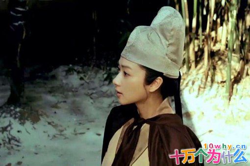 历史上秦淮八艳之首柳如是是一个怎样的人? 历史上秦淮八艳之首柳如是是一个怎样的人?