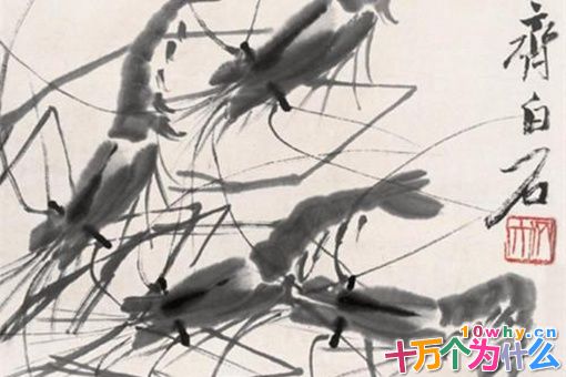 齐白石简介 揭秘齐白石是一个什么样的人 齐白石简介 揭秘齐白石是一个什么样的人