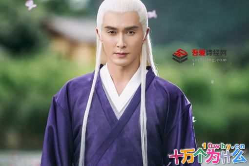 东华帝君结局羽化什么意思?东华将帝君之位传给叶青缇 东华帝君结局羽化什么意思?东华将帝君之位传给叶青缇