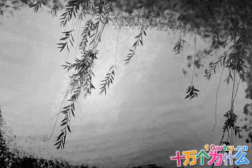 索德格朗简介 索德格朗是个什么样的人 索德格朗简介 索德格朗是个什么样的人