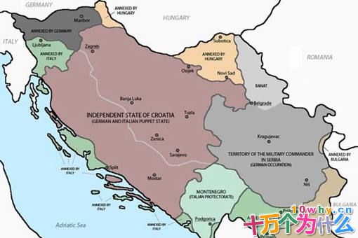 历史上真实的瓦尔特·佩里奇是怎样的?揭秘瓦尔特的诞生 历史上真实的瓦尔特·佩里奇是怎样的?揭秘瓦尔特的诞生