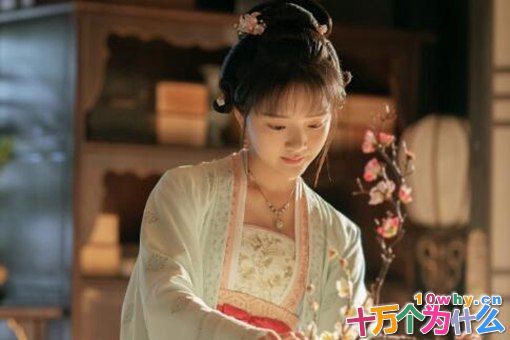 孤城闭赵徽柔历史原型是谁?赵徽柔原型人物介绍 孤城闭赵徽柔历史原型是谁?赵徽柔原型人物介绍