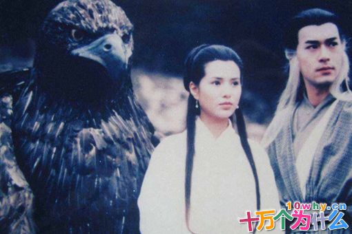 杨过和周伯通谁更厉害?神雕侠侣中早已给出答案 杨过和周伯通谁更厉害?神雕侠侣中早已给出答案