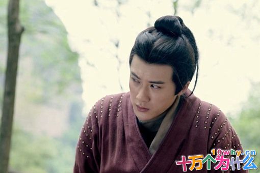 为什么曹操和曹丕没有听从刘晔的计谋?