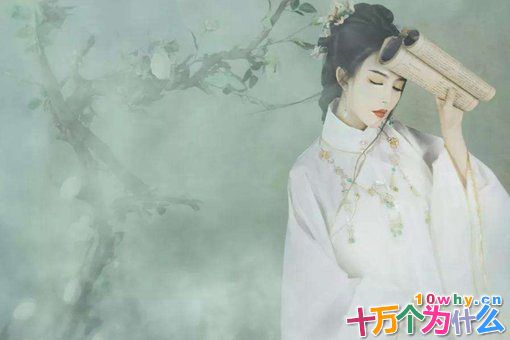 古代花蕊夫人是什么样?花蕊夫人人物介绍 古代花蕊夫人是什么样?花蕊夫人人物介绍