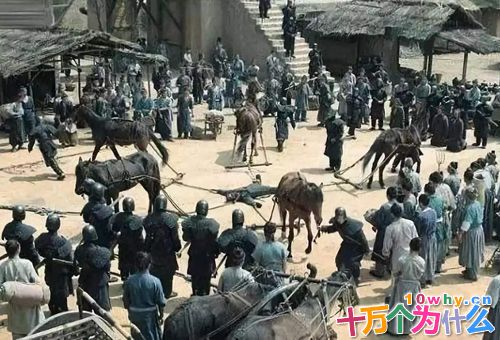 公孙鞅是谁 公孙鞅变法详细介绍 公孙鞅是谁 公孙鞅变法详细介绍