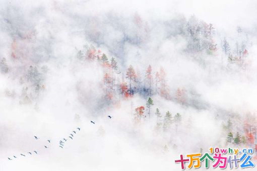 许穆夫人的人物形象分析 许穆夫人最有名的诗载驰原文及解析 许穆夫人的人物形象分析 许穆夫人最有名的诗载驰原文及解析