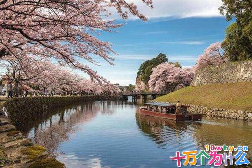 服部半藏是中国人吗?日本忍者与中国有着什么历史渊源?