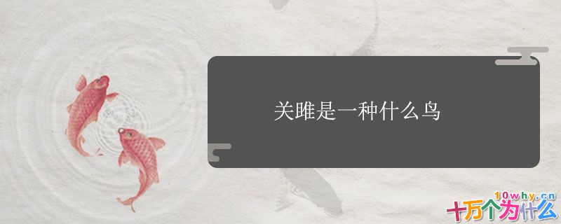 关雎是一种什么鸟?