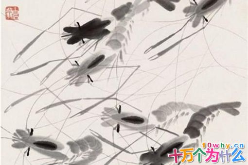 齐白石简介 揭秘齐白石是一个什么样的人 齐白石简介 揭秘齐白石是一个什么样的人