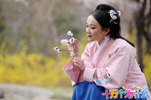 嬴政和芈月什么关系? 嬴政和芈月什么关系?