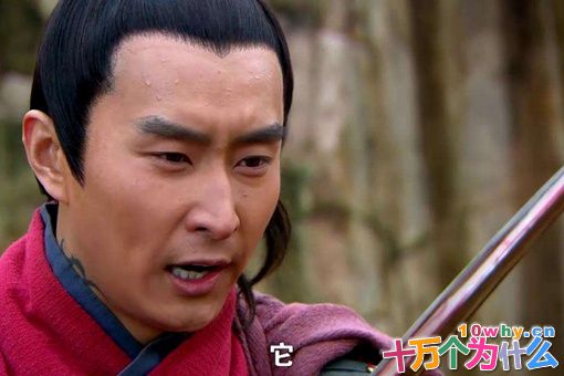 杨再兴是杨家将的后代吗?杨再兴是谁的后代? 杨再兴是杨家将的后代吗?杨再兴是谁的后代?