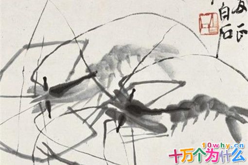 齐白石简介 揭秘齐白石是一个什么样的人 齐白石简介 揭秘齐白石是一个什么样的人