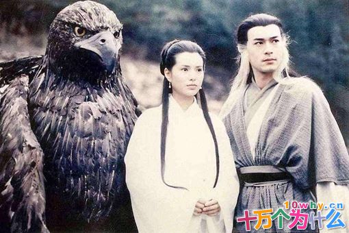 一见杨过误终生究竟是什么意思?到底是谁被杨过误了终身? 一见杨过误终生究竟是什么意思?到底是谁被杨过误了终身?